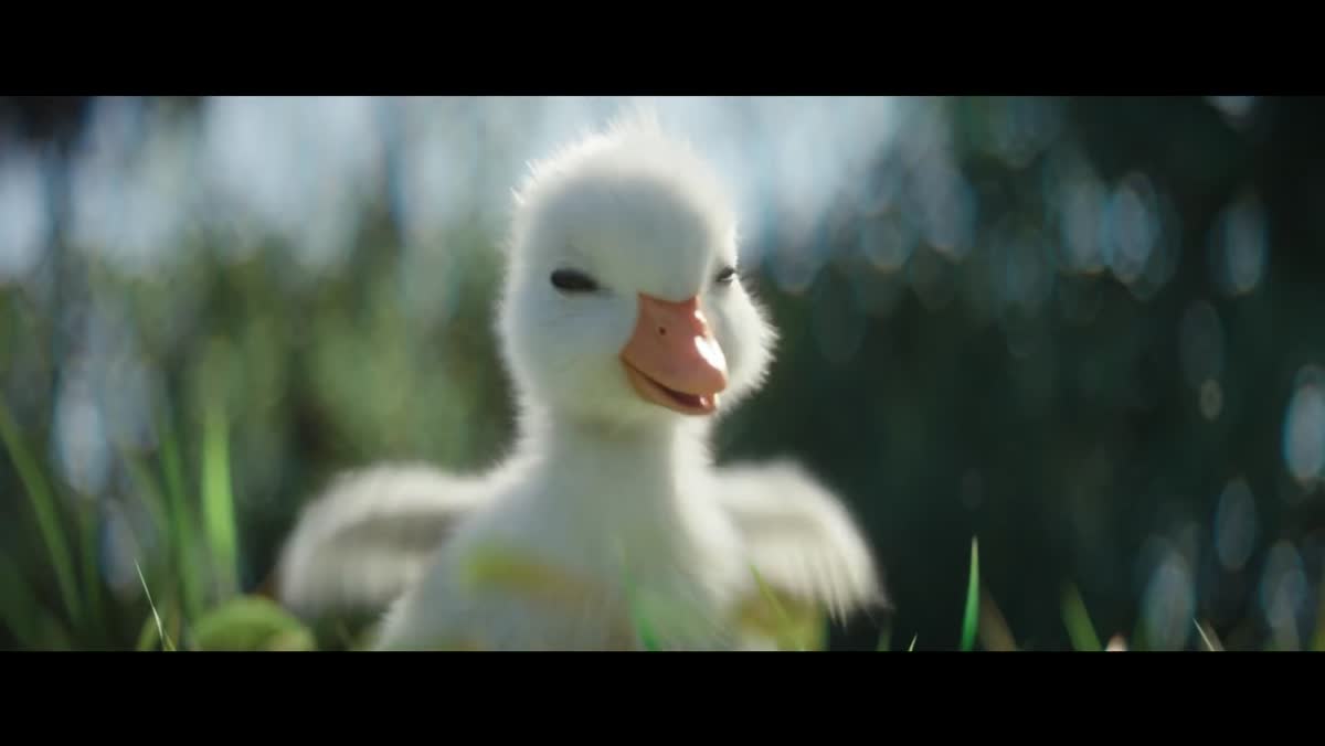 Le petit canard fan de Donald par Disneyland Paris